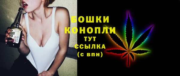 ПСИЛОЦИБИНОВЫЕ ГРИБЫ Баксан