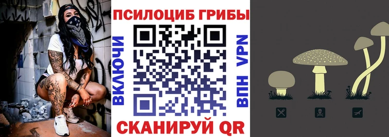 Псилоцибиновые грибы мицелий  Вельск 