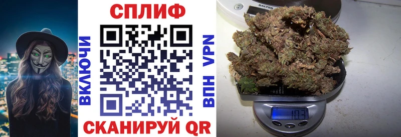 наркотики  Вельск  Марихуана план 